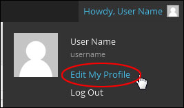 Edit My Profile link.