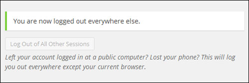 Log Out of All Other Sessions message.