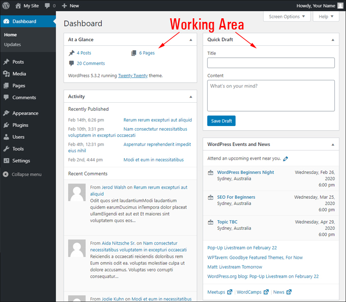 WordPress Dashboard Working Area