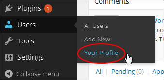 Your Profile Menu