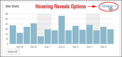 WordPress dashboard element - Site Stats panel.