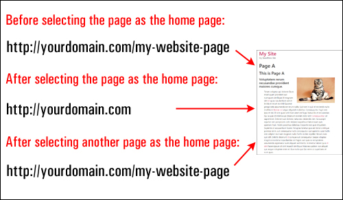 WordPress adjusts your home page URL automatically.