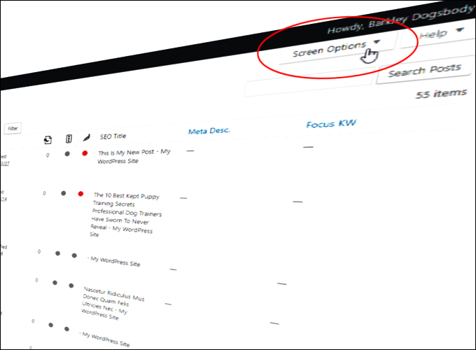 The WordPress Screen Options Tab