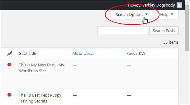 The WordPress Screen Options Tab