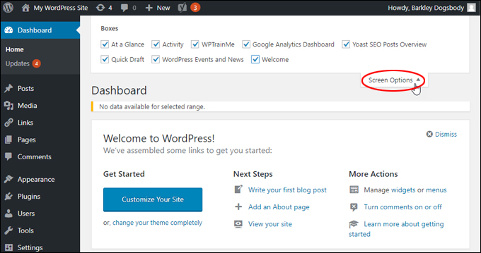 WordPress Dashboard - Screen Options Tab