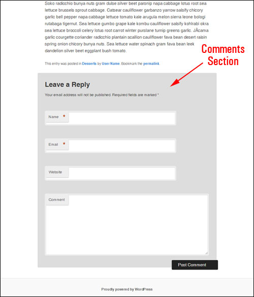 WordPress post comment section.