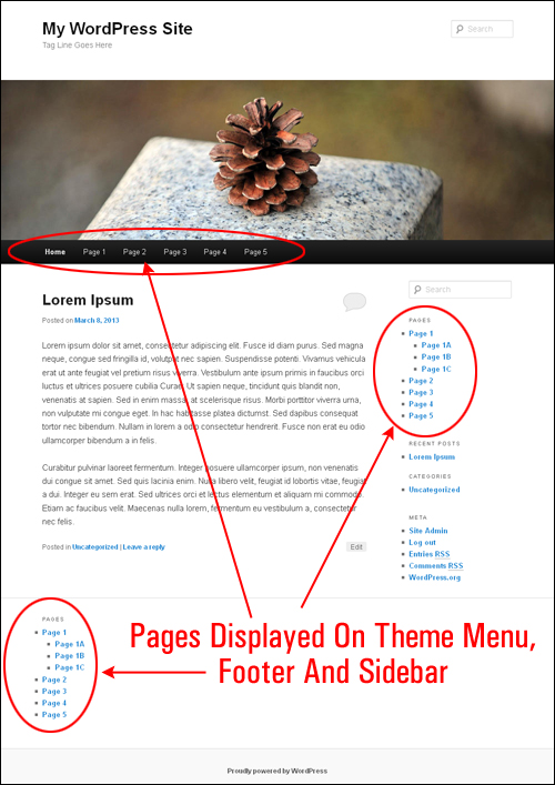 Example of pages displayed in the header, footer, and sidebar sections of a WordPress site.