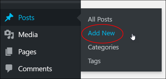 Posts > Add New menu