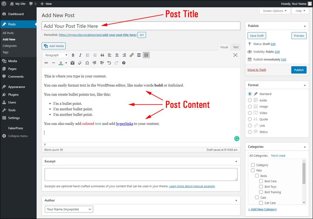 Add New Post screen - Post Title field and Post Content area.