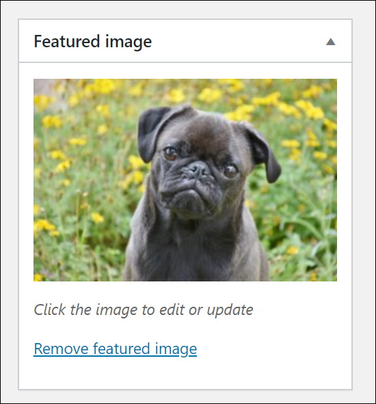 WordPress Post Featured Image section.