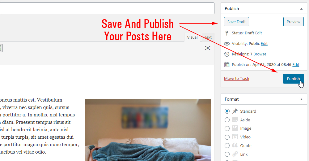 WordPress Post Publish section.