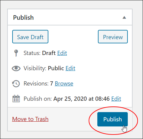 WordPress Post - Publish button.