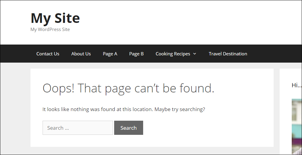 Example of 'Not found' error page.